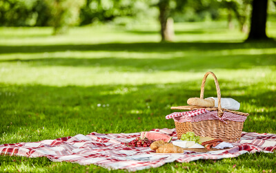 Tips for a Pest Free Picnic - Florida Pest Control