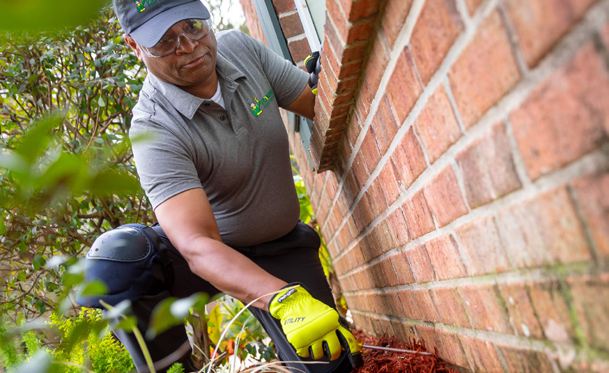 Home Lawn Services and inspection in Florida