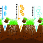 lawn_core_aeration_blog_Florida_Pest_control