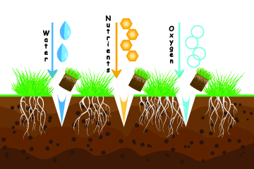 lawn_core_aeration_blog_Florida_Pest_control