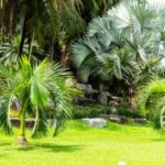 How to Maintain a Healthy Florida Lawn - Florida Pest Control