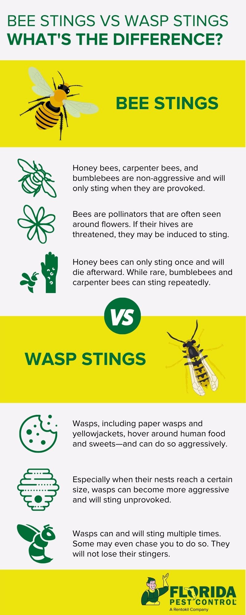 Differences between wasp and bee stings in Florida - Florida Pest Control