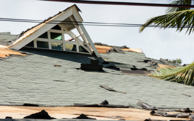 Hurricane season in Florida - Florida Pest Control