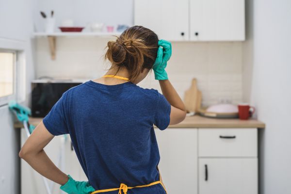 How to clean up after rodents in Florida; Florida Pest Control ﻿Rodent Exterminators
