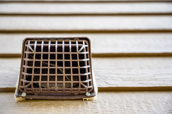 How to keep mice away in Florida; Florida Pest Control Rodent Exterminators