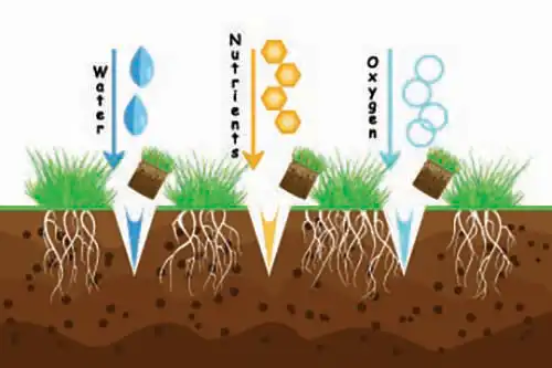 how core aeration works graphic - keep pests away from your home with florida pest control