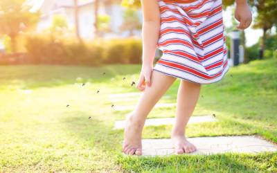 A child itching their leg with mosquitos swarming around them.