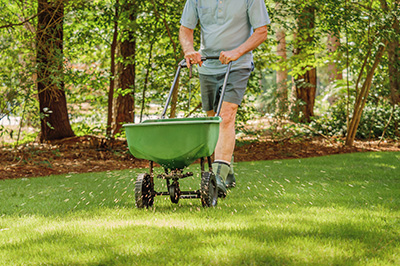 Lawn Fertilizationin Florida in Florida