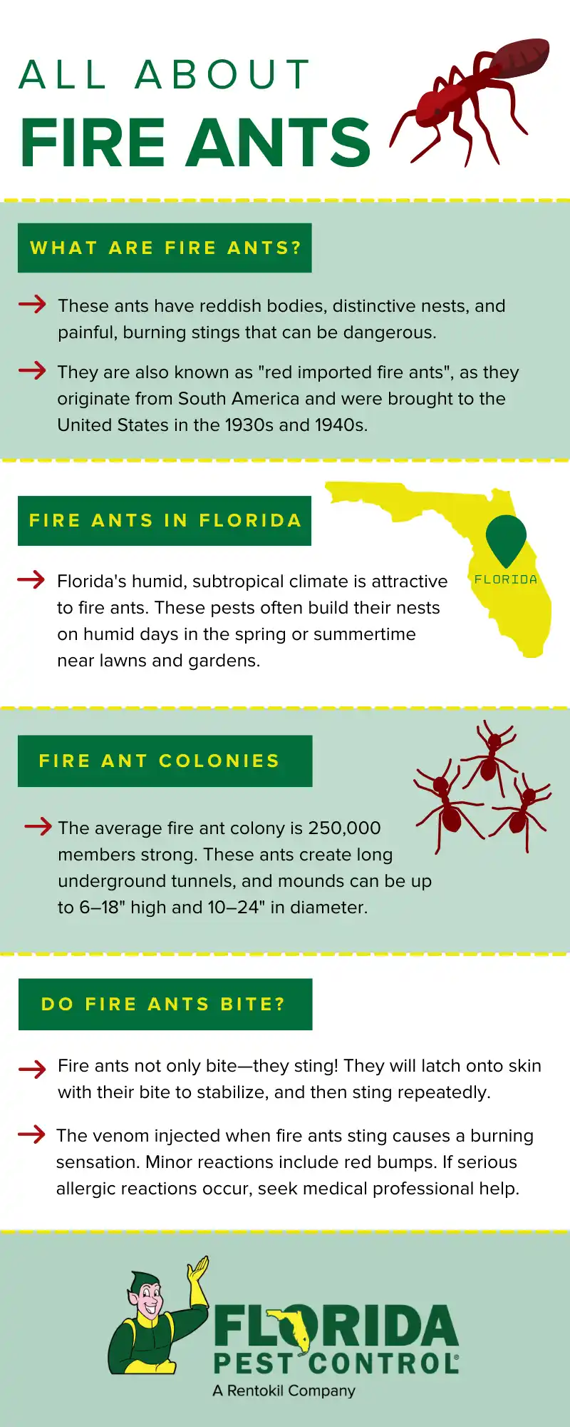 Fire ant infographic in Florida - Florida Pest Control