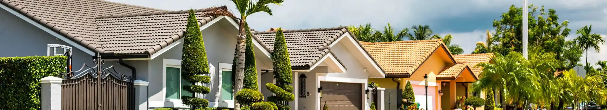 Suburban homes in a residential neighborhood - Keep pests away from your home with Florida Pest Control