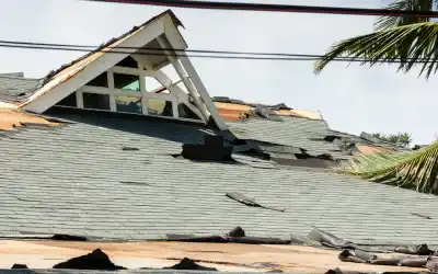 Hurricane damage to the roof of a house - keep pests away from your home with florida pest control