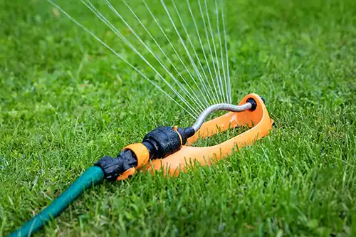 Should I Water My Lawn Each Day in Gainesville FL