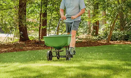 Is It Okay To Fertilize And Seed At The Same Time in Gainesville FL