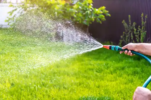 Peron watering a lush green lawn with a watering hose - keep pests away from your home with florida pest control