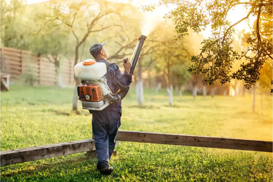 A pest control technician treating an outdoor area around trees - Keep mosquitoes away from your home with Florida Pest Control in Gainesville FL