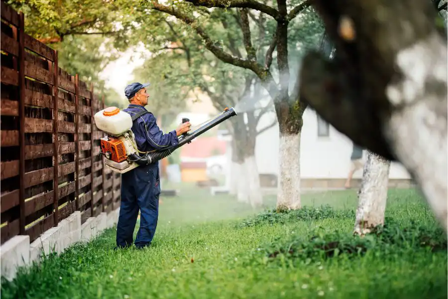 A pest control technician treating an area around trees - Keep mosquitoes away from your home with Florida Pest Control in Gainesville FL