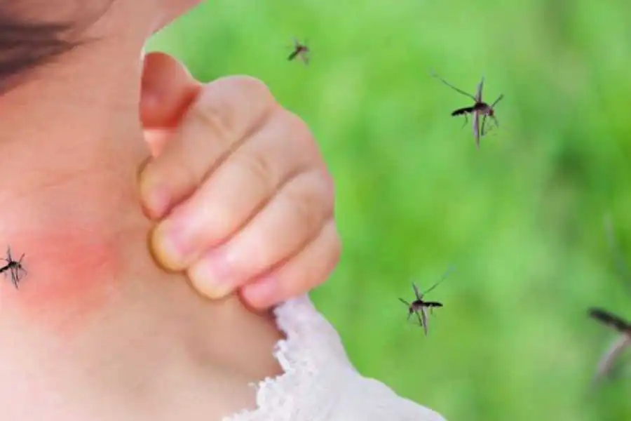 A cluster of mosquitoes gathering around a person's neck Keep mosquitoes away from your home with Florida Pest Control in Gainesville FL