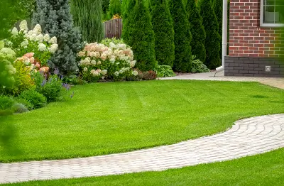 Essential Lawn Care Tips for Your New Home in Florida