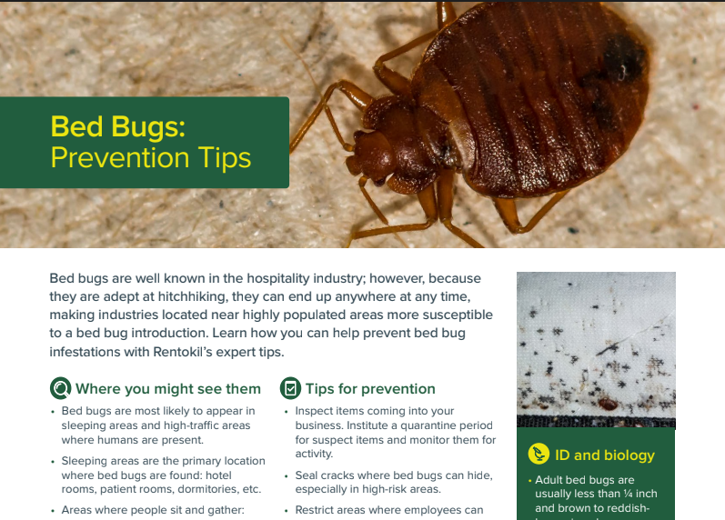 Bed Bug Prevention Tip Sheet