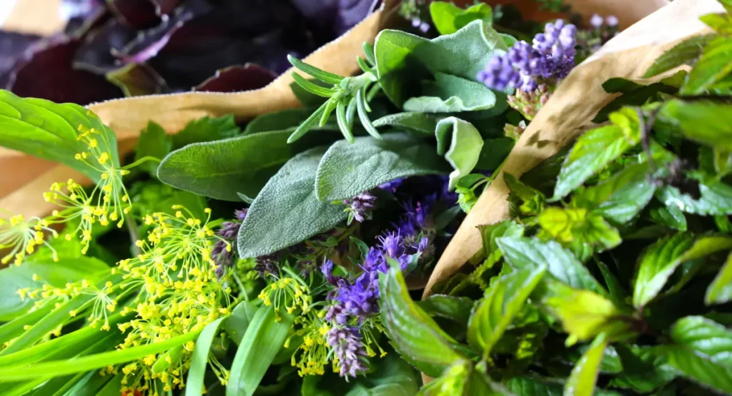 There are plenty of plants and herbs that can help to prevent infestations
