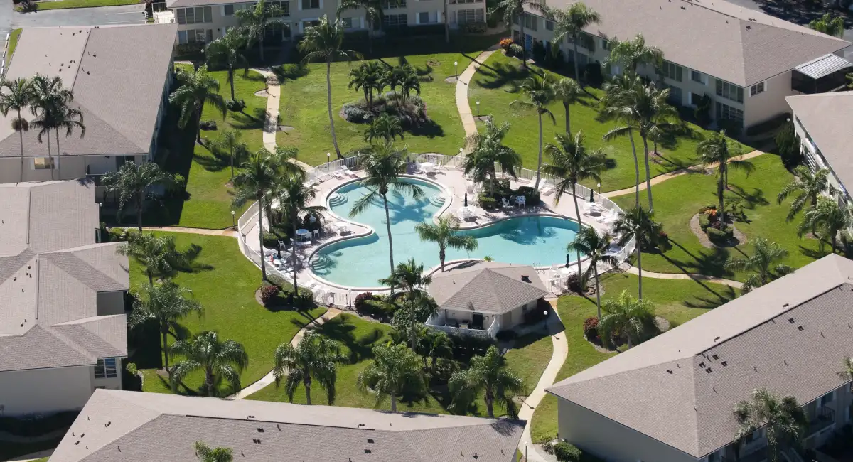 Shared pool area at a modern Florida apartment complex, a common hotspot for pest activity in resident amenities.