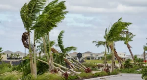 trees fallen due to tornadoes