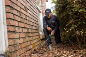 FLA colleague analyzing outside of home among fallen leaves