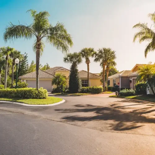 Typical gated community houses with palms, South Florida. Light effect applied