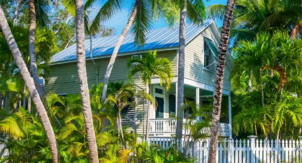 Palm fronds trap humidity and help pests thrive and enter homes