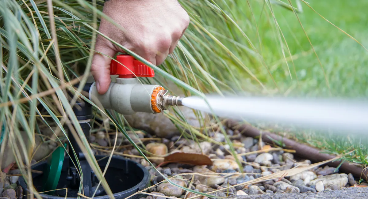 pipes spraying out of irrigation