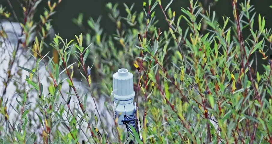 rain detector sensor on sprinklers