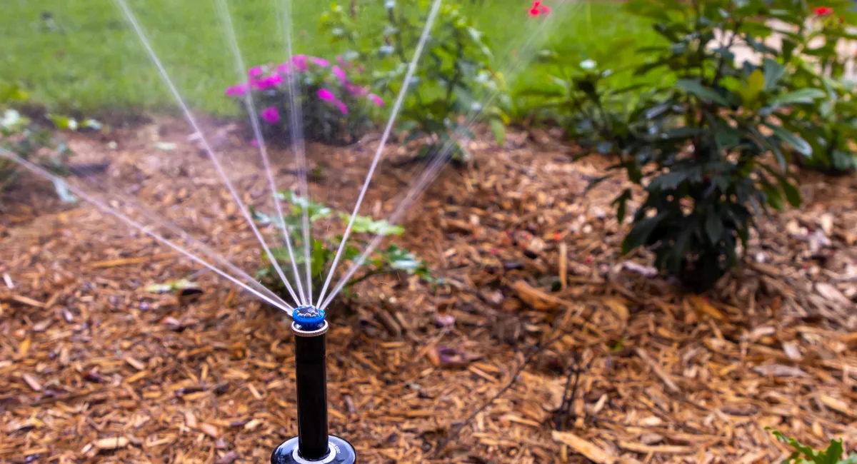 Irrigation Systems in Florida