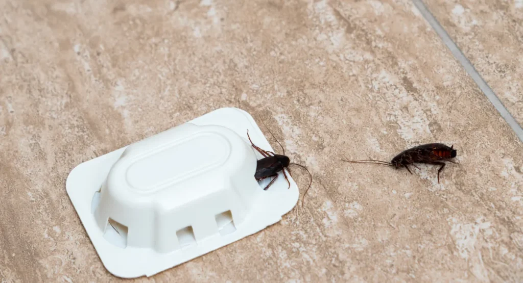 A pest control trap on a tiled floor
