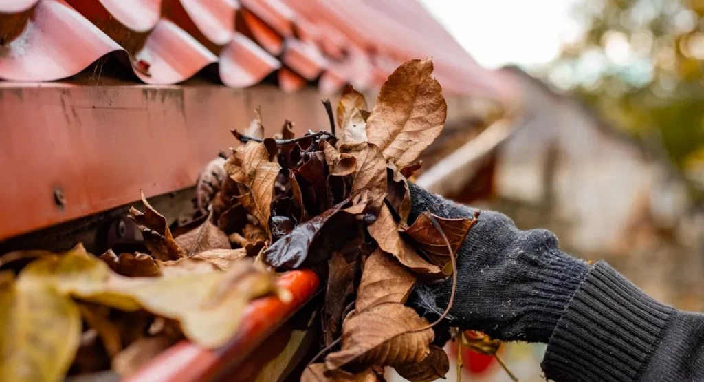 A gloved hand clearing a clogged home gutter