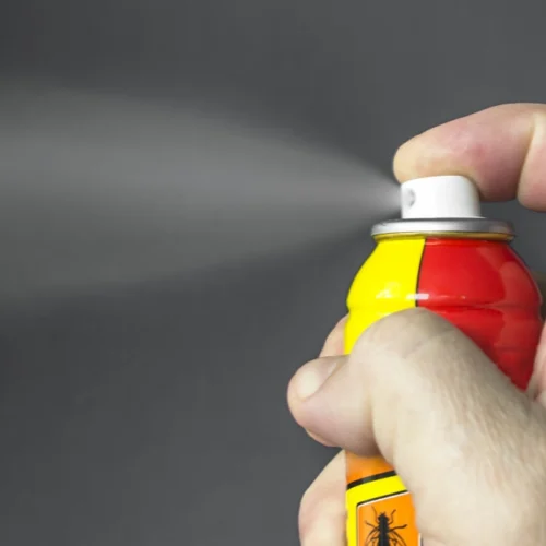 aerosol insecticide can being sprayed