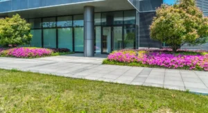 entrance to building with grass and purple flowers