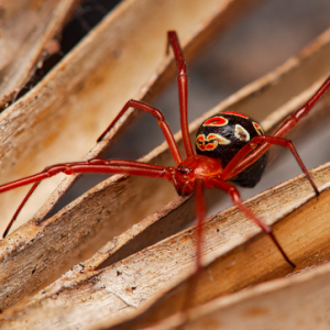 Screenshot 2025-11-07 151641