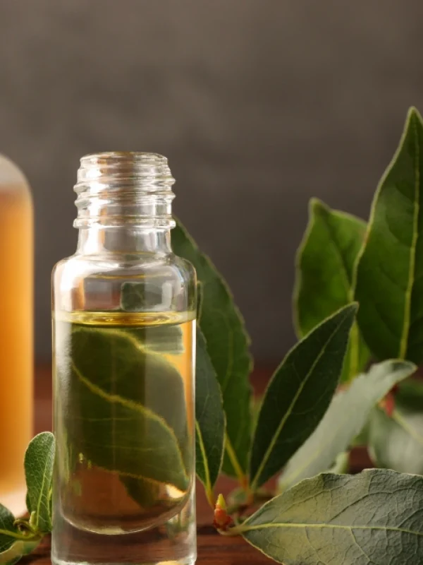 Bay leaves and two bottles of essence oils
