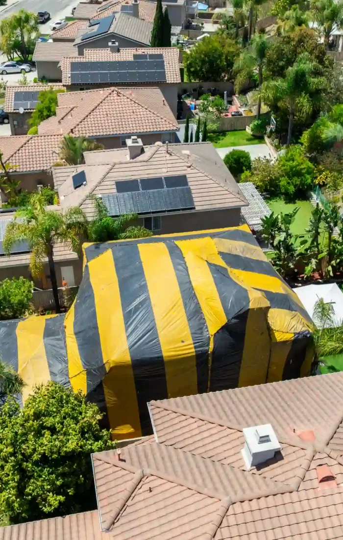 image-stock-2500-yellow-and-gray-termite-tent-on-a-big-house-in-2217884859